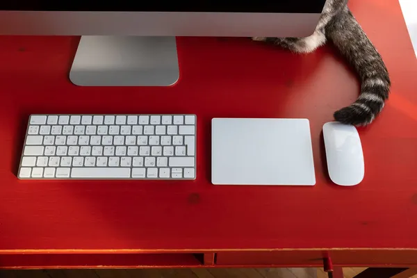 Katze versteckt sich hinter dem Computer, nur ihr Schwanz ist sichtbar, auf dem Desktop, wo sich Tastatur, Touchpad und Maus befinden. Fernbedienung. — Stockfoto