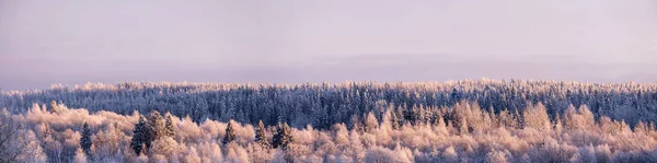 Wonderful winter scenery. Beautiful snowy forest, with a small church among the trees, against the backdrop of a frosty sky. Panorama. — Stock Photo, Image