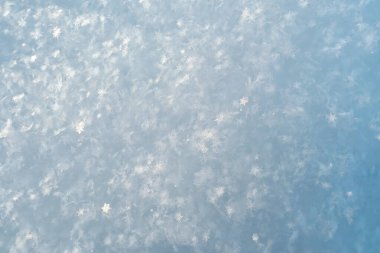 Beautiful crystals of snowflakes glow in the rays of the sun, on fluffy snow, on a frosty day. Copy space. Background. Top view.