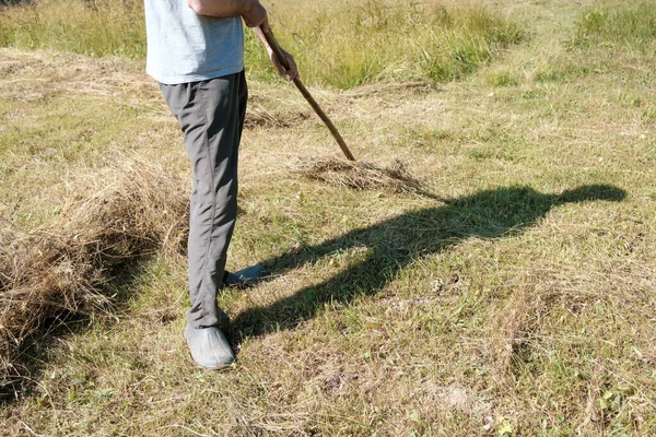夏天的一天，人们在村子里用耙收集干草。农村生活方式. — 图库照片