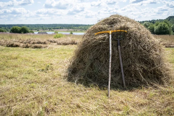 Heustapel mit Gabeln und Rechen, vor dem Hintergrund einer wunderschönen ländlichen Landschaft, an einem sonnigen Sommertag. Dorfleben. — Stockfoto