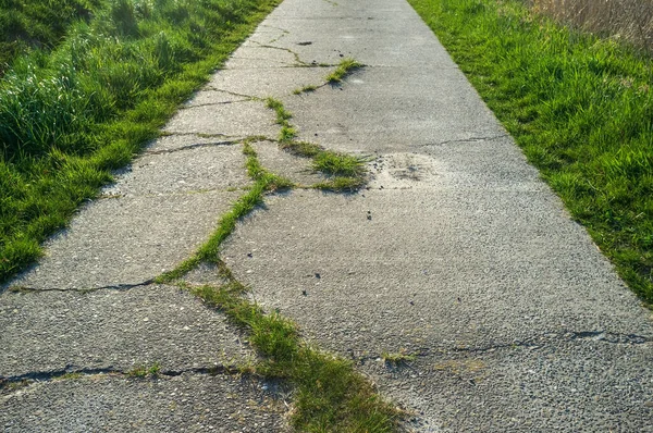 Alter Betonweg mit Rissen und mit Gras bewachsen, zum Radfahren oder Wandern genutzt. — Stockfoto