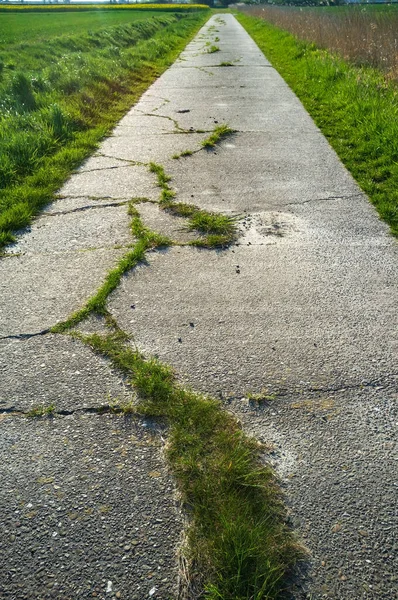 Çatlaklarla kaplı eski beton bir yol ve çim tarlalardan geçiyor, bisiklet sürmek ve yürümek için kullanılıyor. Etkin yaşam tarzı kavramı. — Stok fotoğraf