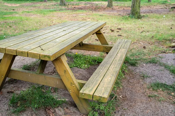 Tavolo in legno e panca nel parco, per la comodità dei vacanzieri. Primo piano. — Foto Stock