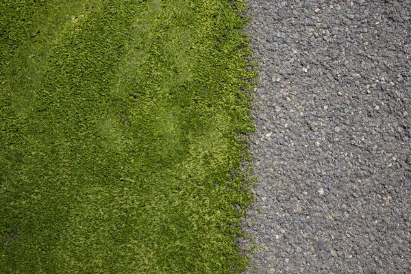 芝生のカット緑の草やアスファルトで 背景として使用することができます コピースペース 最上階だ — ストック写真