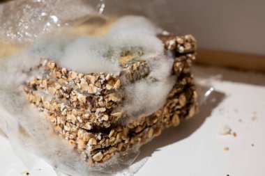 Eski çürümüş küflü ekmek plastik bir torbada yatıyor.