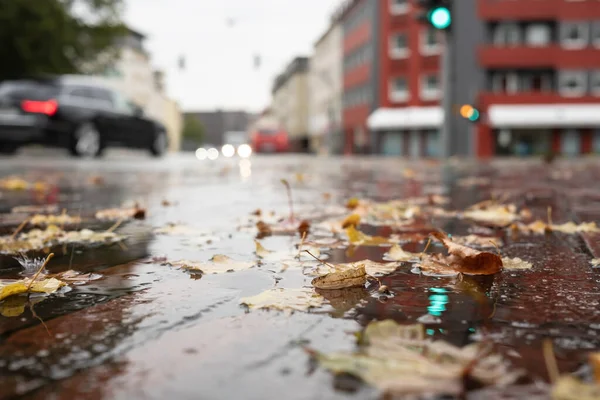 Pöl Med Löv Och Regndroppar Asfalterad Väg Regnet Nära Korsningen — Stockfoto