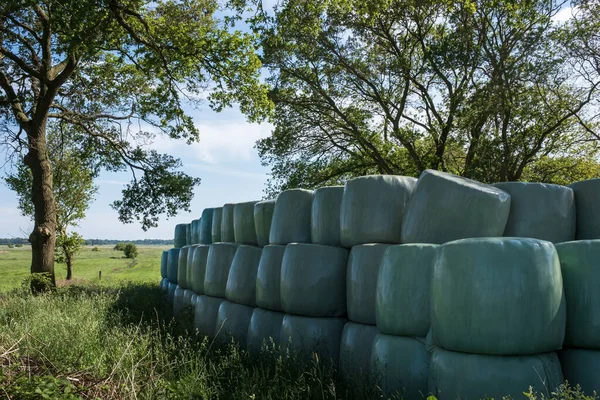 Купа Упакованого Сіна Біля Сільськогосподарського Поля Поруч Збираними Деревами — стокове фото