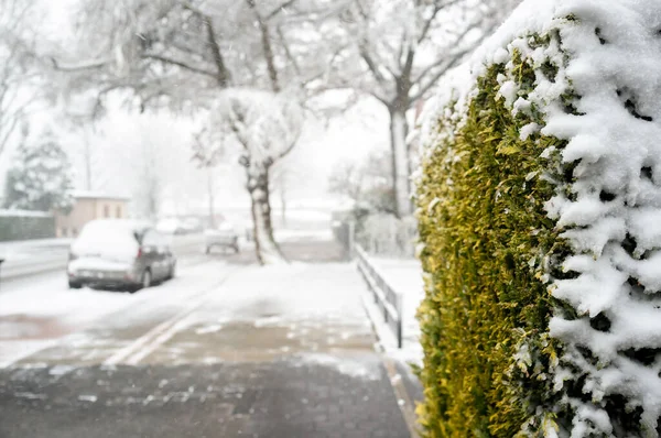 Snow Covered European City Road Street Private Houses Trees Quiet — Stock Photo, Image