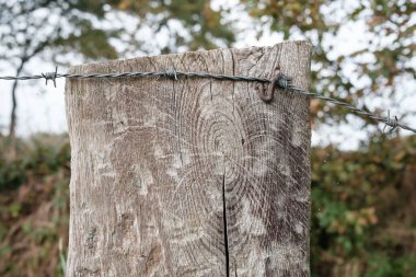 Dikenli tel, eski bir tahta kütüğe paslı bir çiviyle bağlanmış, ağaçların arka planına karşı. Çit, özel bölgeye giden geçidi koruyor. Yakın plan..