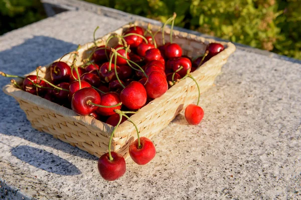 Cherry Berries Wicker Plate Close Juicy Ripe Berries Large Cherries — Stock Photo, Image