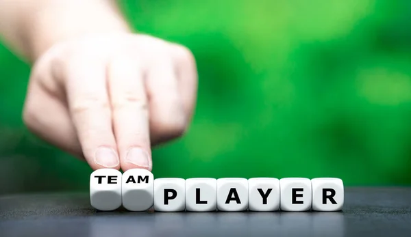 Dice Утворює Вираз Team Player — стокове фото