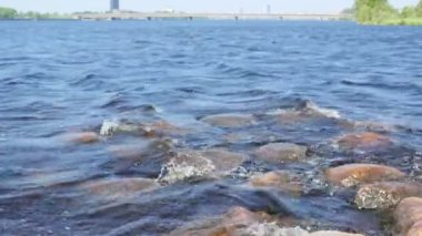 Dalgalar kayalara çarpıyor