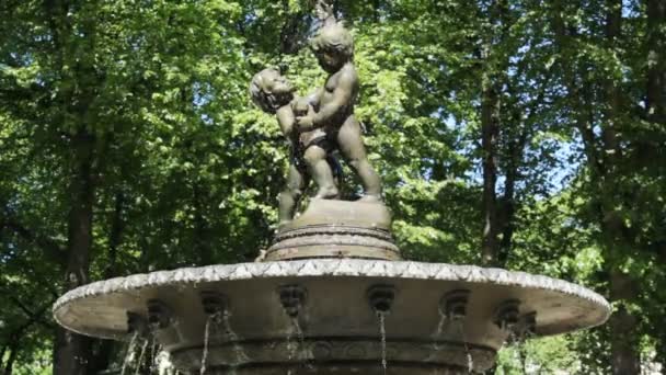 Fountain in The Riga city — Stock Video