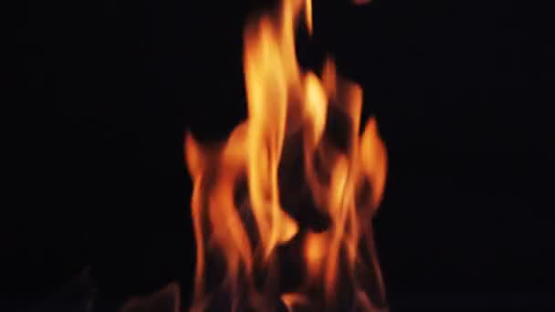 Fire flames on black background — Stock Video