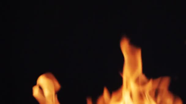 Fire flames on black background — Stock Video