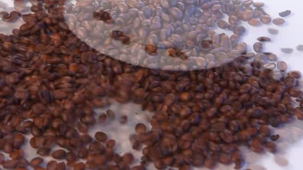 掉下来的咖啡豆 — 图库视频影像