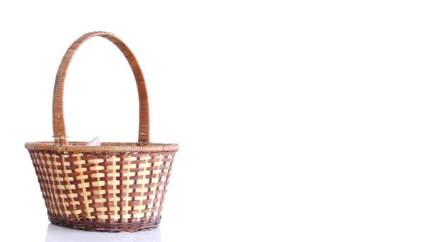 Lapin blanc se déplace dans le panier 