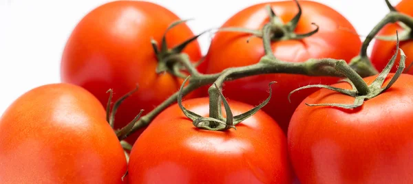 Frische Tomaten — Stockfoto