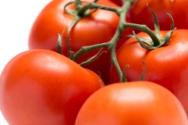 Tomates frescos — Foto de Stock