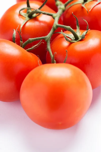 Frische Tomaten — Stockfoto