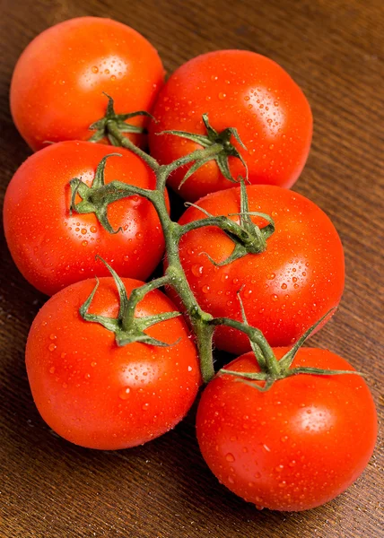 Tomates frescos y húmedos — Foto de Stock