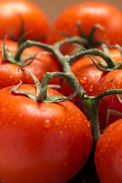 Fresh tomatoes — Stock Photo, Image