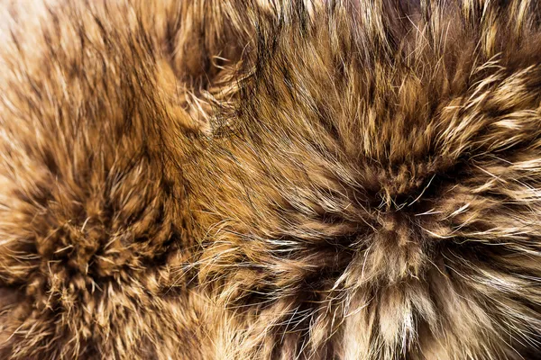 Fox fur Stock Photo by ©AY_PHOTO 41374595 Fox fur Stock Photo by ©AY_PHOTO 41374595