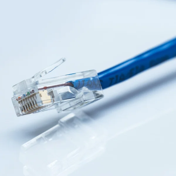 Καλώδιο Ethernet — Φωτογραφία Αρχείου