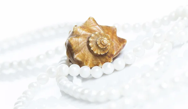 Muschel und Perlenkette — Stockfoto