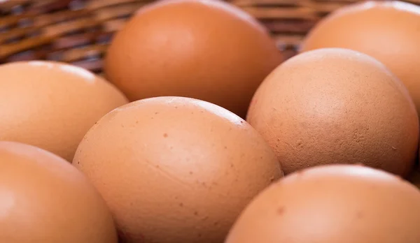 Oeufs bruns dans le panier — Photo