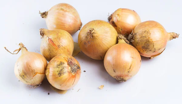 Fresh onion — Stock Photo, Image