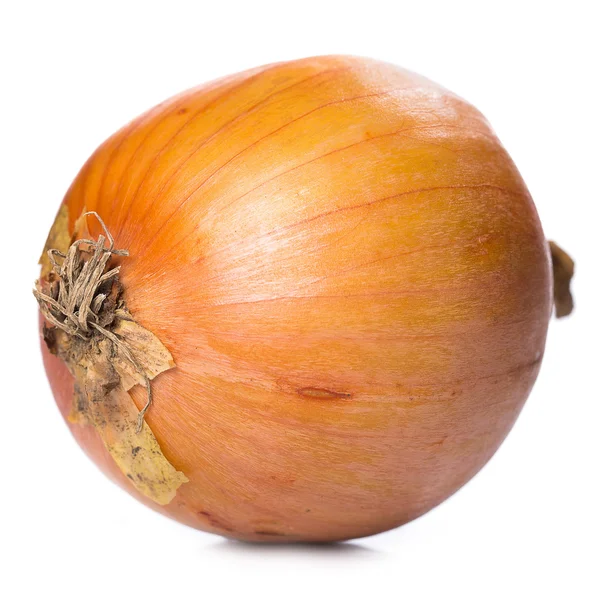 Fresh onion — Stock Photo, Image