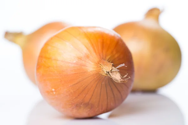 Frische Zwiebeln — Stockfoto