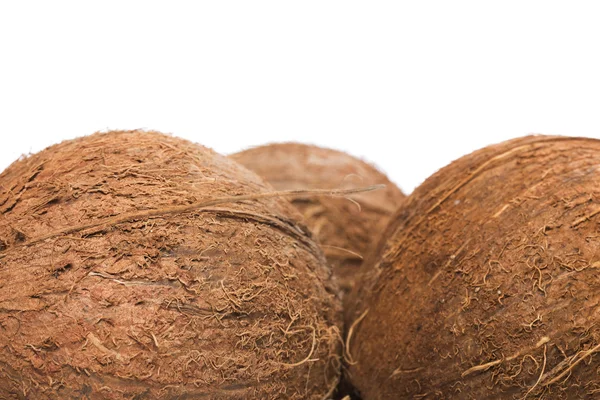 Noci di cocco su sfondo bianco — Foto Stock