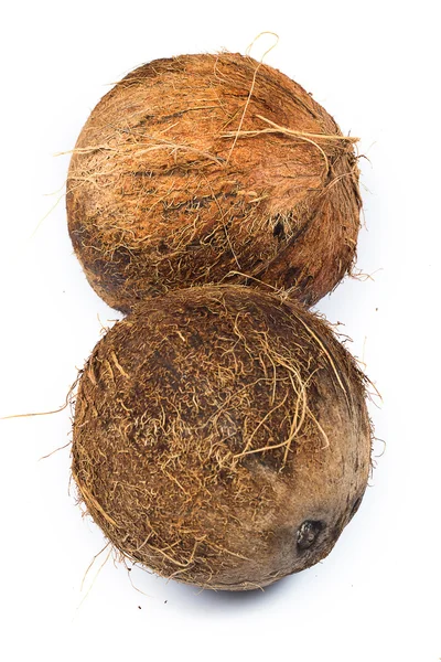 白い背景の上のココナッツ — ストック写真