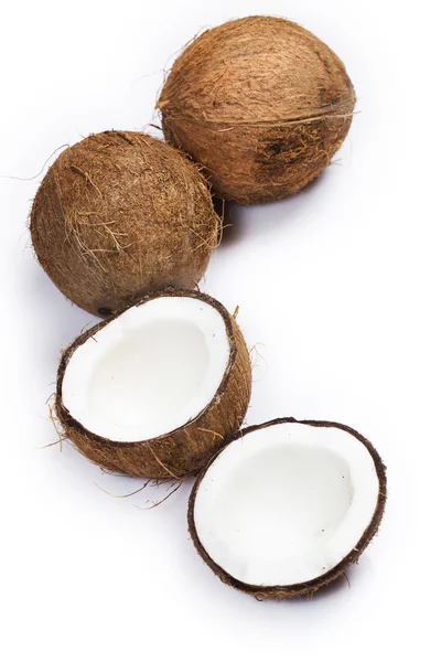 Cocos sobre fondo blanco —  Fotos de Stock