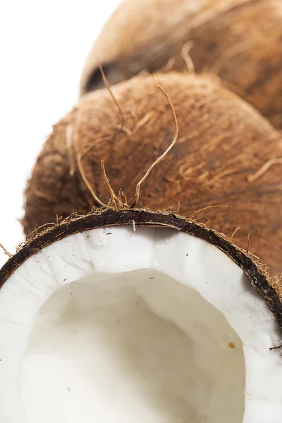 Cocos sobre fundo branco — Fotografia de Stock