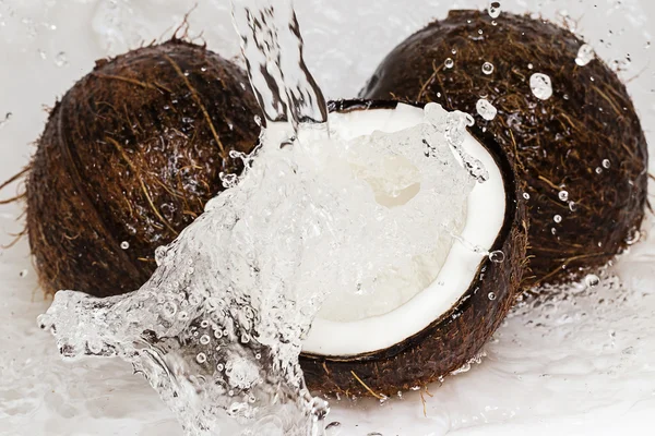 Coconuts and water splash — Stock Photo, Image