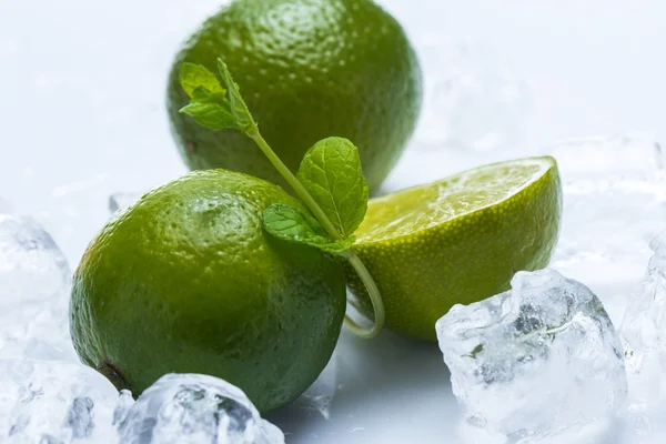 Fresh lime fruit and mint — Stock Photo, Image