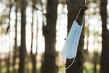 Ormandaki bir ağaçta asılı tıbbi maske. Çevre kirliliği kavramı veya COVID-19 salgını.