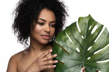 Beyaz arka planda yeşil tropikal yaprak tutan pürüzsüz tenli güzel siyah kadın.