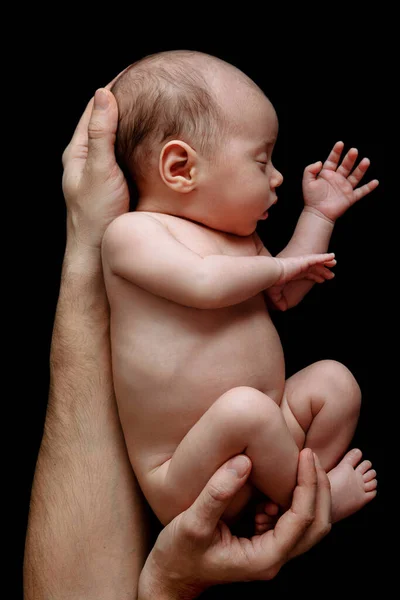Lindo Bebé Recién Nacido Acostado Las Manos Del Padre Sobre — Foto de Stock