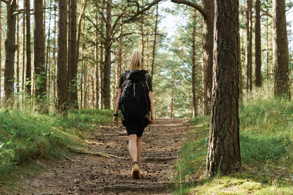 Ung Kvinnlig Vandrare Med Stor Ryggsäck Grön Skog — Stockfoto