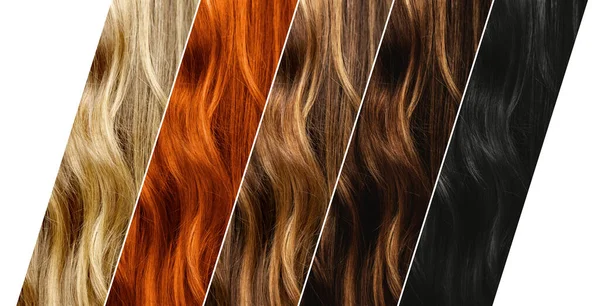 Różne Kolory Farbowania Włosów Zestaw Różnych Próbek Naturalnego Koloru Włosów — Zdjęcie stockowe
