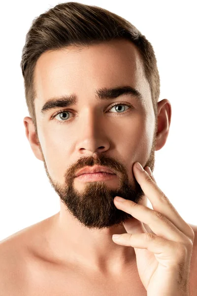 바탕에 부드러운 피부를 잘생긴 턱수염 남자의 — 스톡 사진