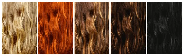 Różne Kolory Farbowania Włosów Zestaw Różnych Próbek Naturalnego Koloru Włosów — Zdjęcie stockowe
