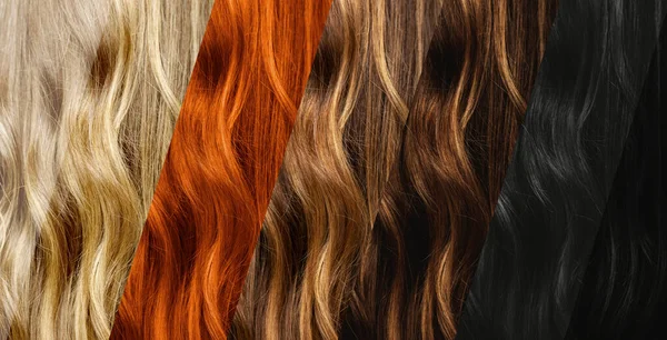 Várias Cores Tintura Cabelo Conjunto Diferentes Amostras Cor Cabelo Natural — Fotografia de Stock