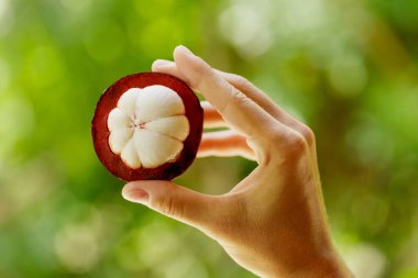 Taze ve olgun mangosonlu kadın eli.