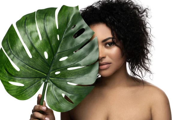 Όμορφη Μαύρη Γυναίκα Απαλό Δέρμα Που Κρατά Πράσινο Τροπικό Φύλλο — Φωτογραφία Αρχείου